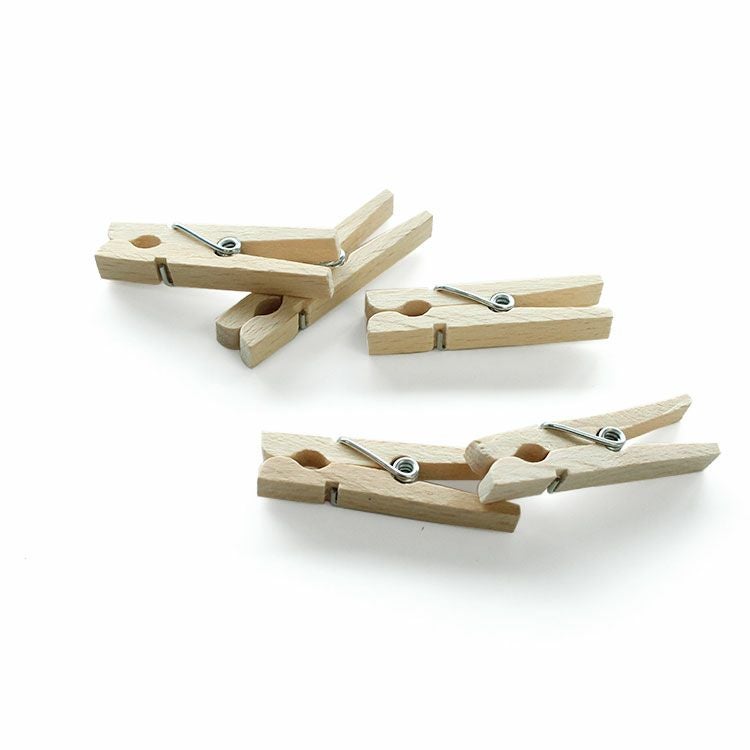 レデッカー（REDECKER） 洗濯バサミ 100個セット