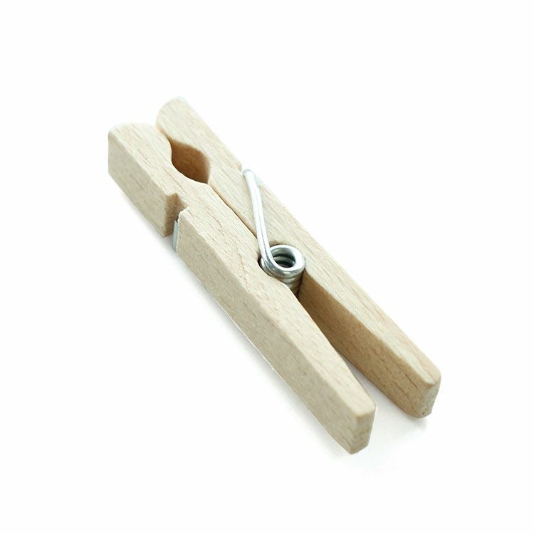 レデッカー（REDECKER） 洗濯バサミ 100個セット