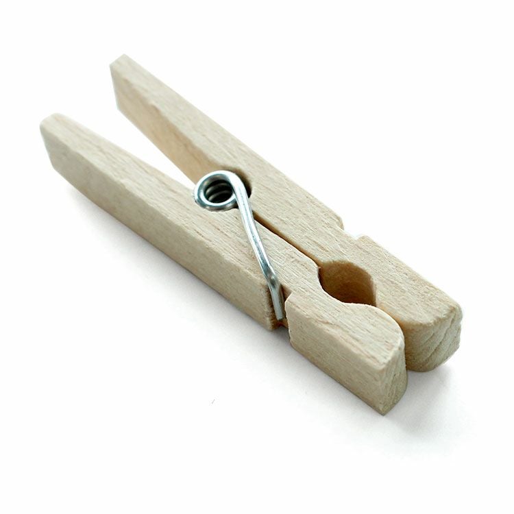 レデッカー（REDECKER） 洗濯バサミ 100個セット