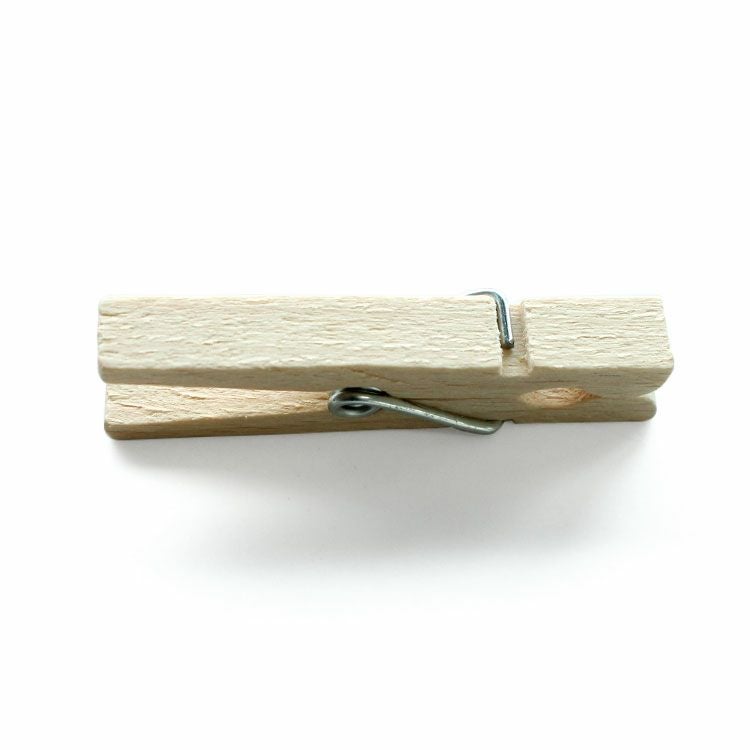 レデッカー（REDECKER） 洗濯バサミ 100個セット