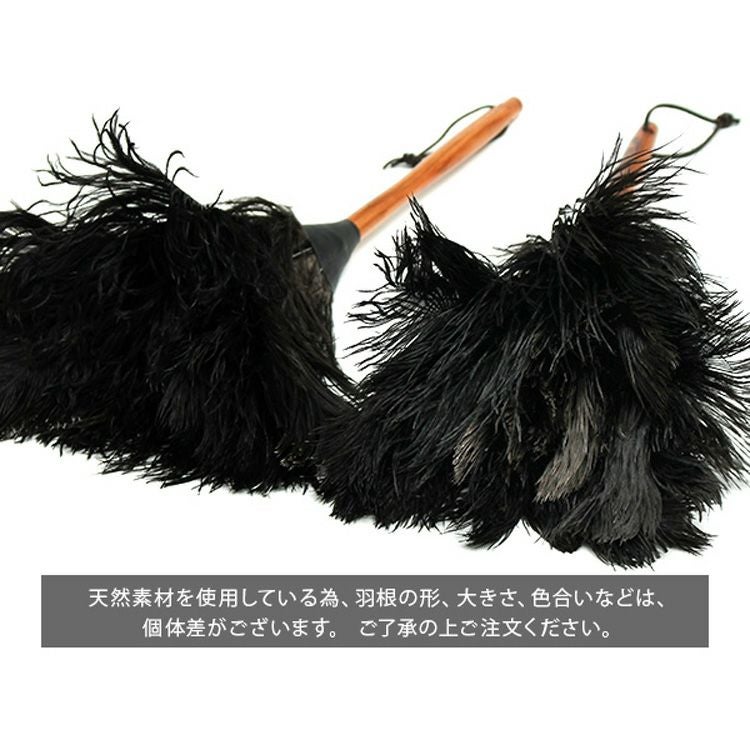 レデッカー（REDECKER） オーストリッチ フェザーダスター 50cm