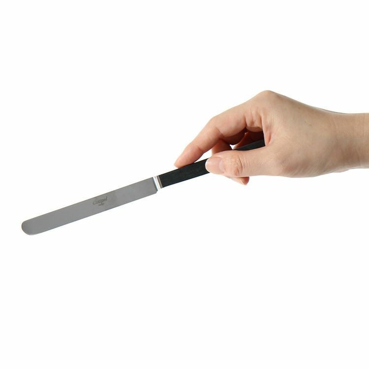 クチポール（Cutipol） クーベ/KUBE デザートナイフ [ネコポス対応可(18点まで)]