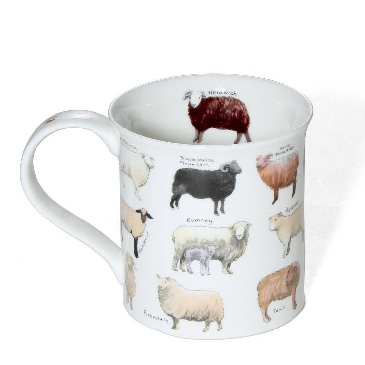 ダヌーン（Dunoon） マグカップ BUTE お気に入りの羊はど～れ？ ANIMAL BREEDS SHEEP