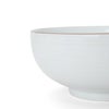 白山陶器 白磁千段 6寸浅めん丼 18.5cm