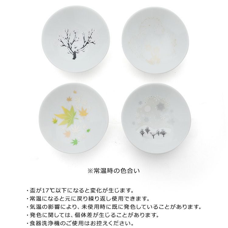 丸モ高木陶器 ホワイト 冷感 平盃 4点セット