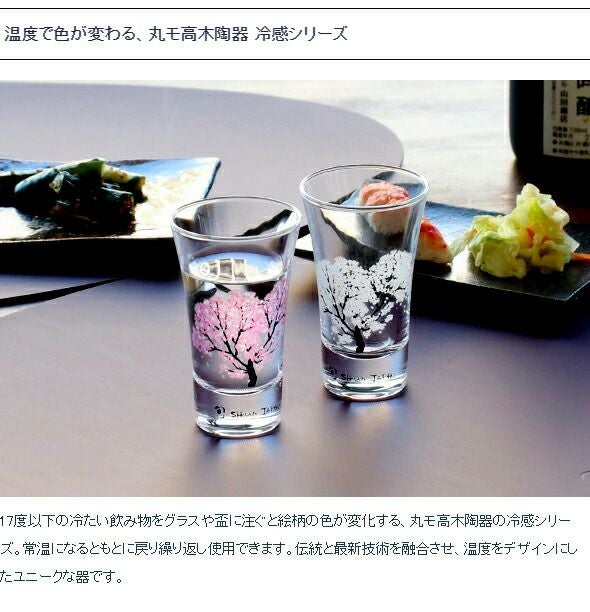 丸モ高木陶器 ホワイト 冷感 平盃 4点セット