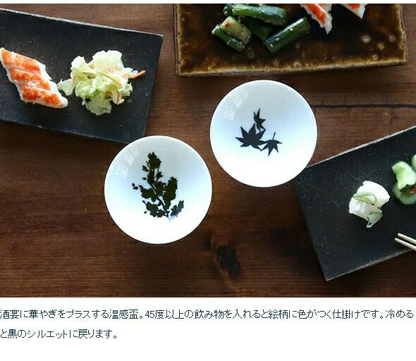 丸モ高木陶器 ホワイト 温感 平盃 ペア