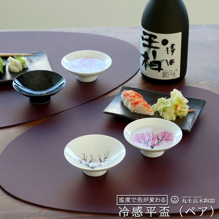 丸モ高木陶器 冷感 平盃 ペア | soluno