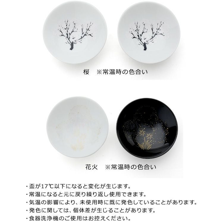 丸モ高木陶器 冷感 平盃 ペア