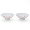 丸モ高木陶器 冷感 平盃 ペア