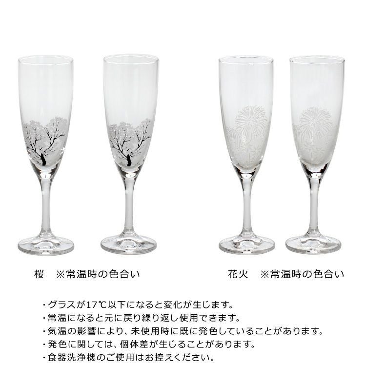 丸モ高木陶器 冷感 シャンパングラス ペア