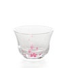 丸モ高木陶器 冷感桜 煎茶 グラス