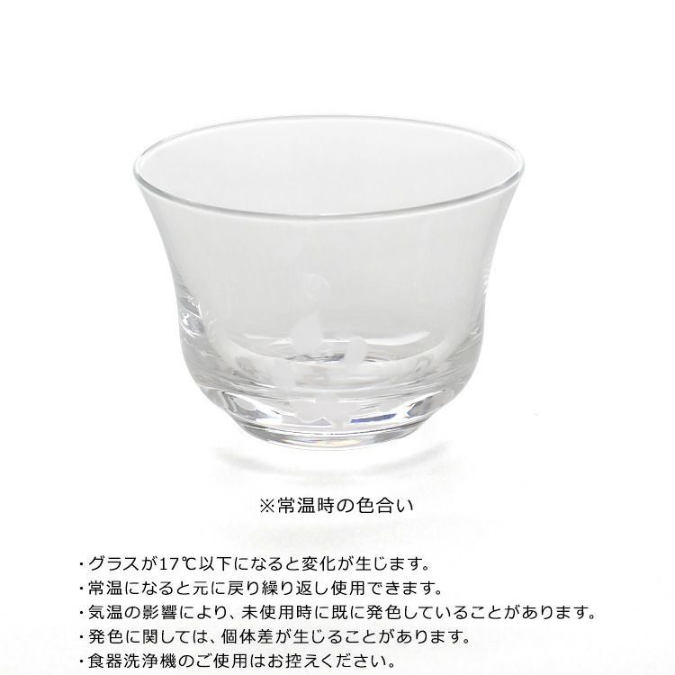 丸モ高木陶器 冷感桜 煎茶 グラス