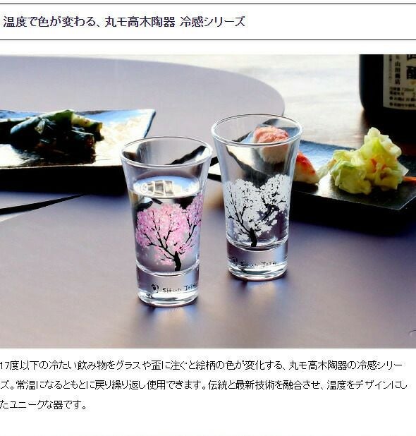 丸モ高木陶器 冷感純銅錫被 タンブラー