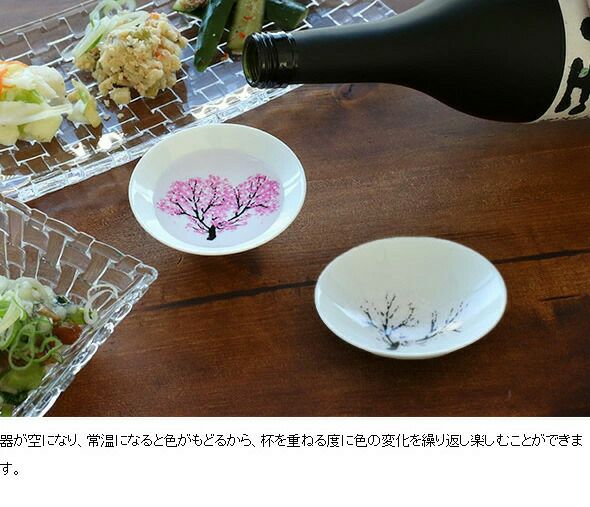 丸モ高木陶器 冷感純銅錫被 タンブラー