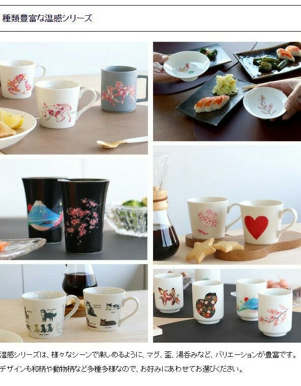 丸モ高木陶器 マットライトグレー 温感マグカップ