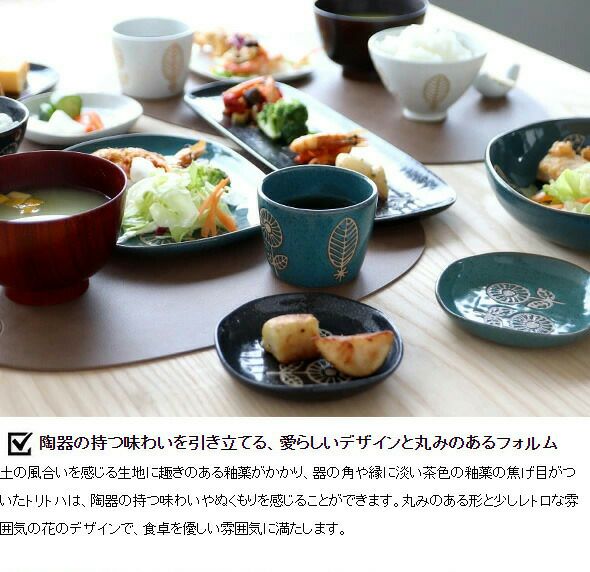 カネサン1893（KANESAN1893） ハナトハ ナデ角大皿