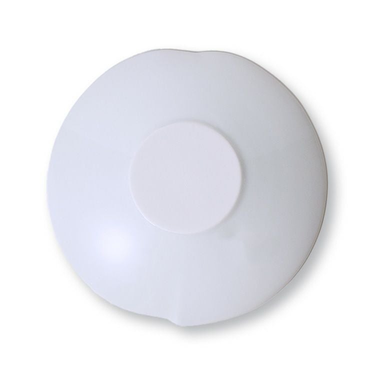 眞窯 プレート 21cm