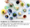 藍花×岩澤硝子 グラス